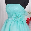 A-Line Strapless Bow Prom Dress (A189)
