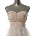 Princess Strapless Applique Ball Gown Dress (D217)