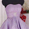 Princess Strapless Ruching Prom Dress (B161)