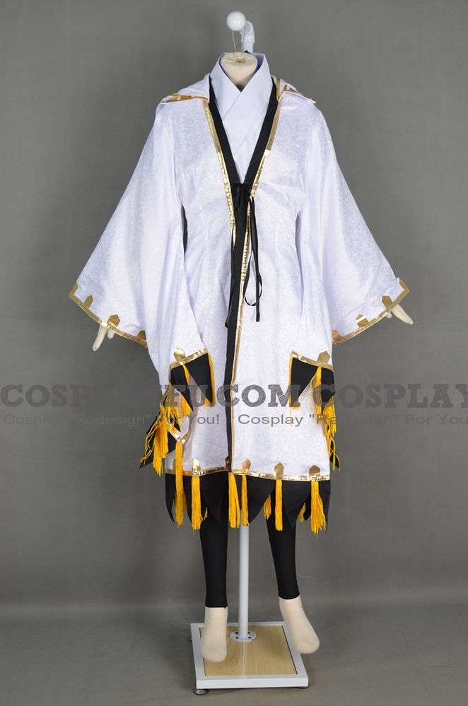 Samurai Warriors Aya Costume