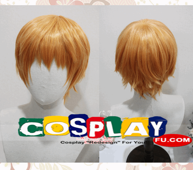 Kyo Wig from Fruits Basket