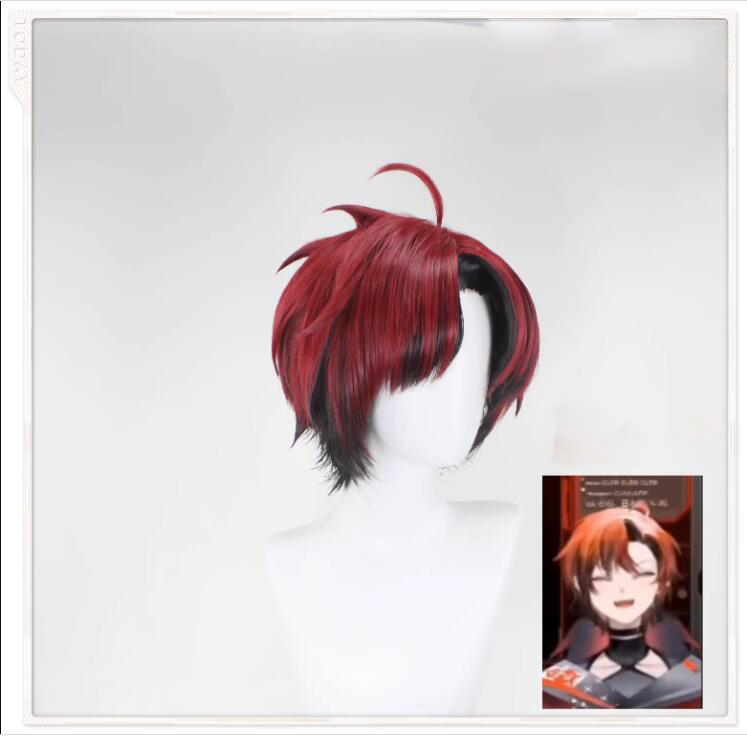 Machina X Flayon Wig from Virtual YouTuber