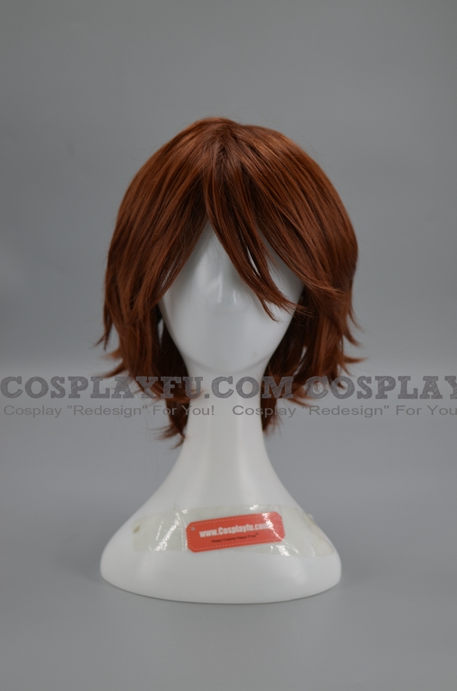 Tsuna Wig from Katekyo Hitman Reborn