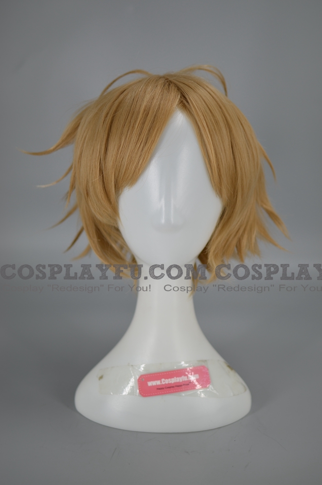 Tidus Wig from Final Fantasy X