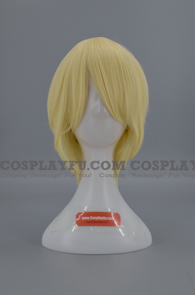 Anduin Wrynn wig from World of Warcraft