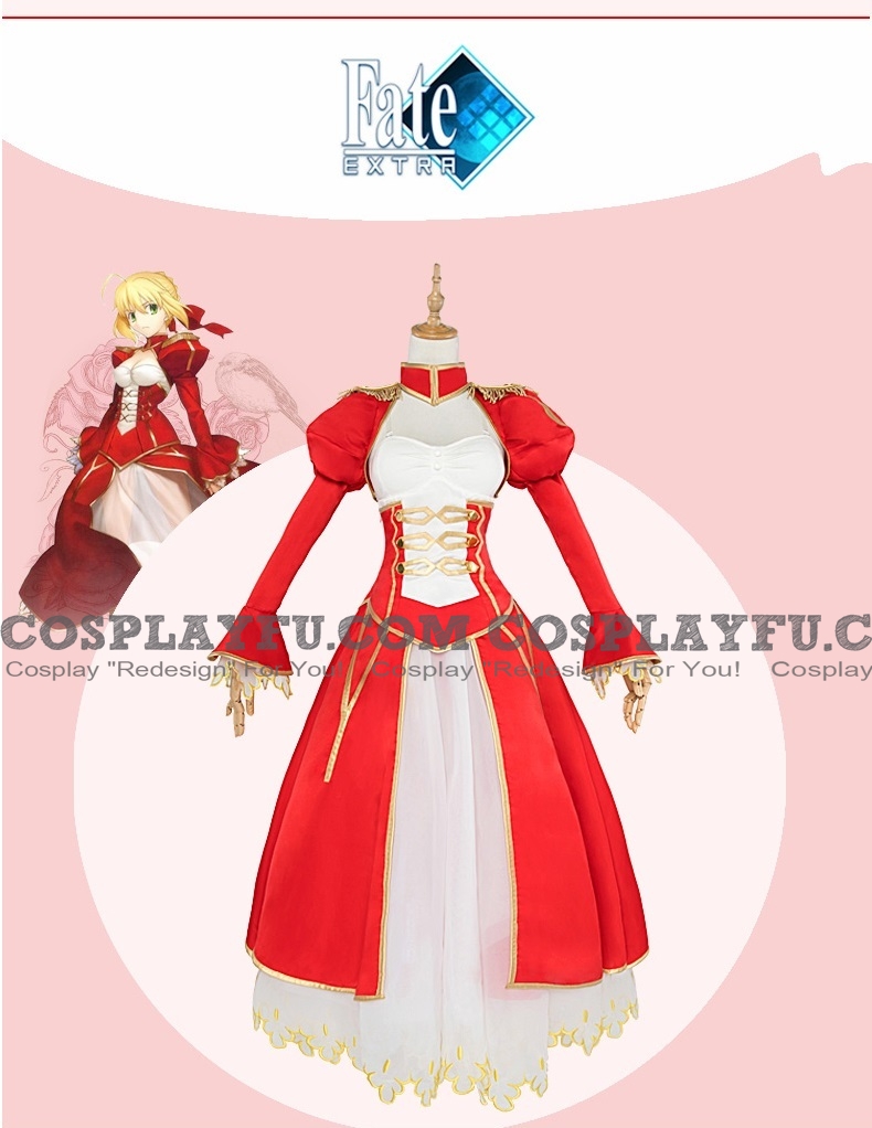 Saber Cosplay Costume (10Years Saber) from Fate Stay Night