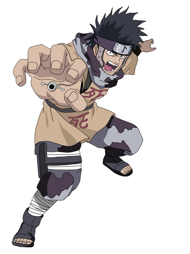 Abumi Cosplay Costume from Naruto