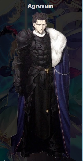Agravain Cosplay Costume from Fate Stay Night