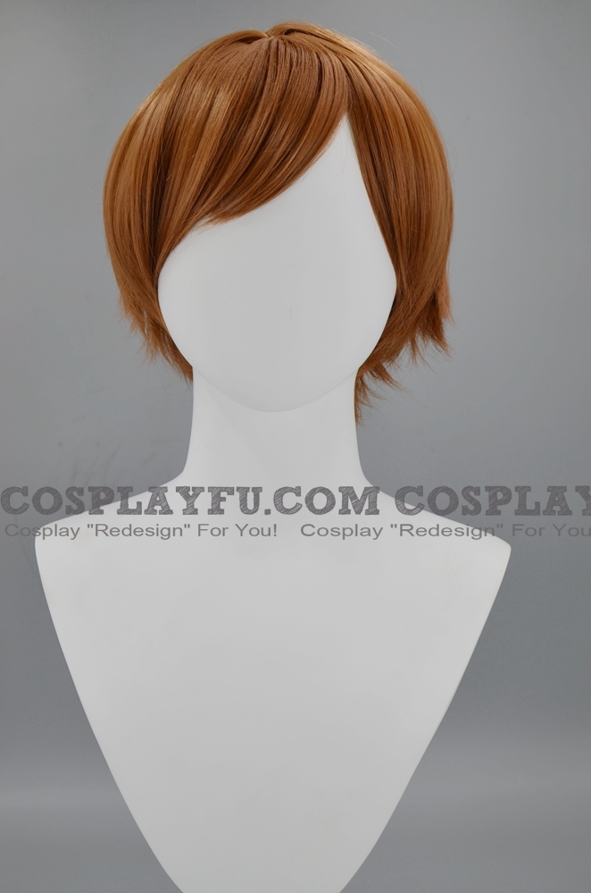 Short Straight Brown Wig (6310)