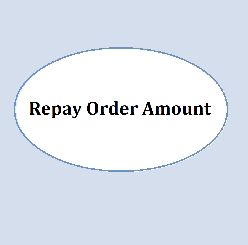 Repay Order Amount for Specific Order #000000