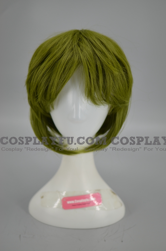 Sylphiette Wig from Mushoku Tensei