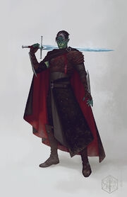 Critical Role Fjord コスチューム