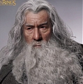 The Lord of the Rings Gandalf Peruca