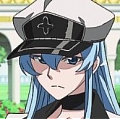 Esdeath Wig from Akame ga Kill!
