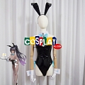 Kakudate Karin (Bunny Girl) Cosplay Costume from Blue Archive
