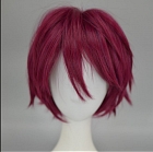 Red Wig (Short,Spike,Rin)