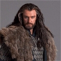 Thorin Cosplay Costume from The Hobbit