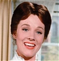 Mary Wig from Mary Poppins