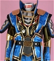Xiahou Dun Cosplay Costume (Parts) from Dynasty Warriors