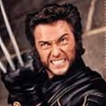 Wolverine Cosplay Costume from X-Men Evolution