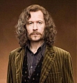 Sirius Black Wig from Harry Potter