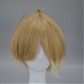 Short Mixed Light Brown and White Wig (1283)