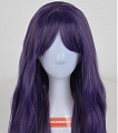 Long Curly Purple Wig (4070)
