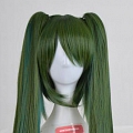 Long Dark Green Twin Pony Tails Wig (3046)