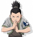 Shikamaru Cosplay Costume (001-C62) from Naruto