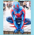 Spider Man Homem-Aranha Traje (Spider-Man: Into the Spider-Verse)