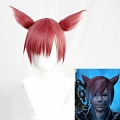 Final Fantasy XIV G'raha Tia Peruca (with Ears)