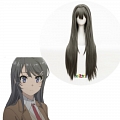 Seishun Buta Yarou Series Mai Sakurajima Парик (2nd, Long Straight Grey)