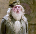 Harry Potter Albus Dumbledore Costume