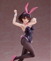 Saekano: How to Raise a Boring Girlfriend Megumi Kato Kostüme (Bunny Suit)
